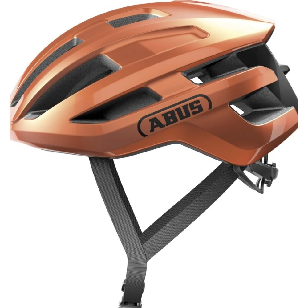 Abus PowerDome