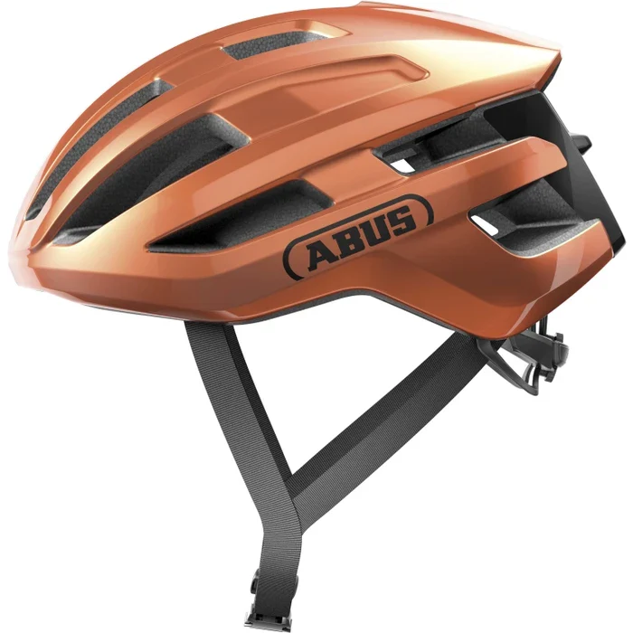 Abus PowerDome - Image 3