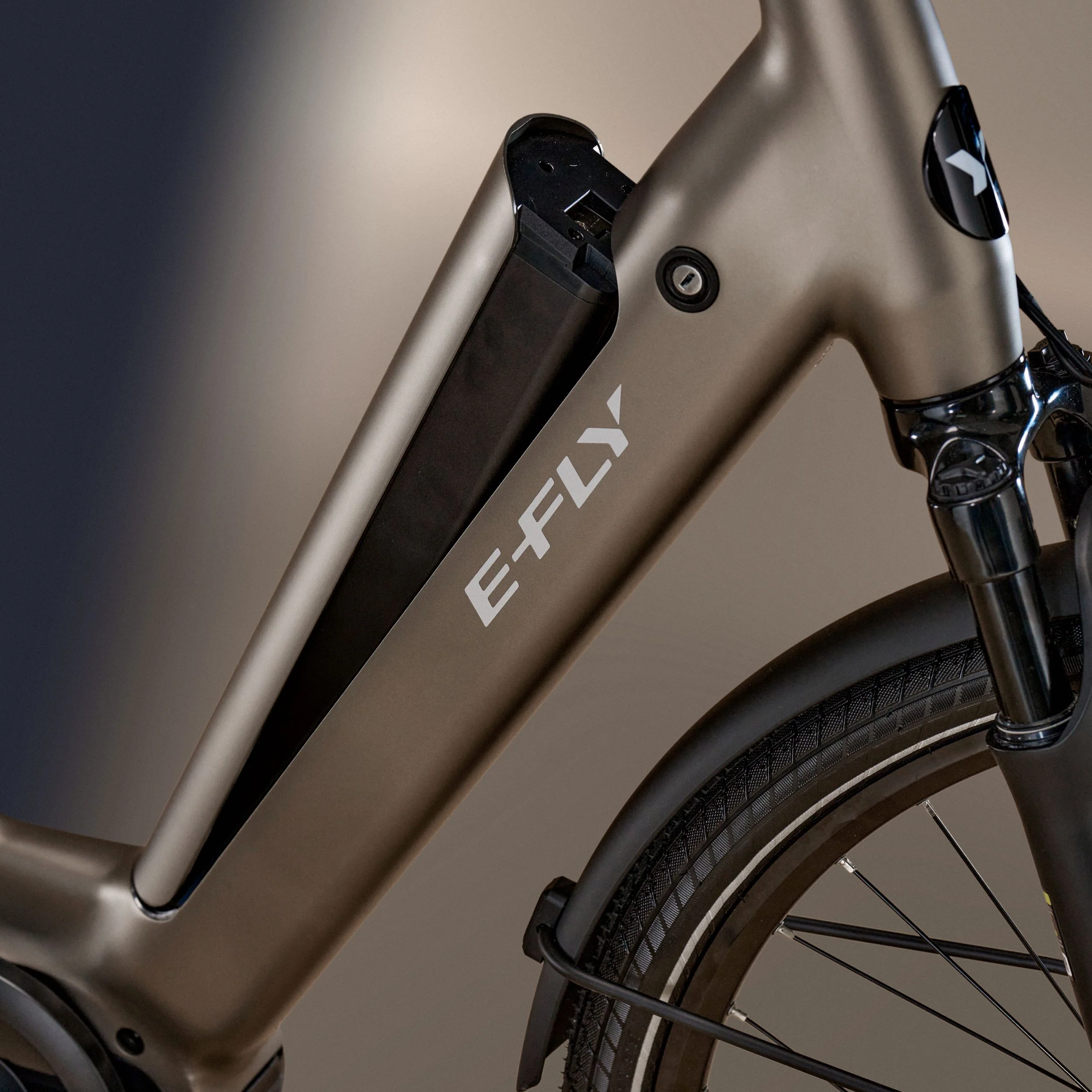 E-FLY Vela - Image 5