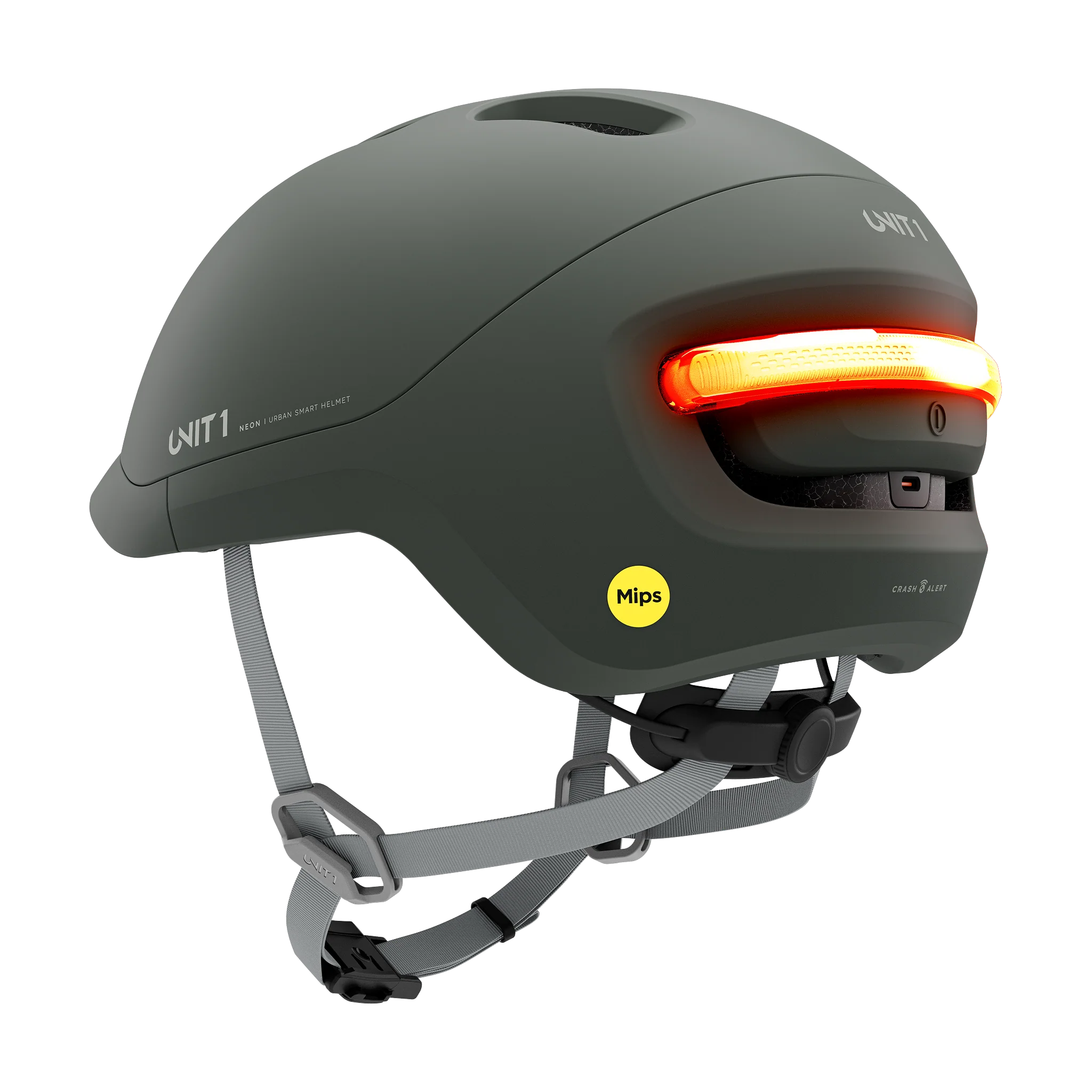 Unit1 Neon MIPS - Image 3