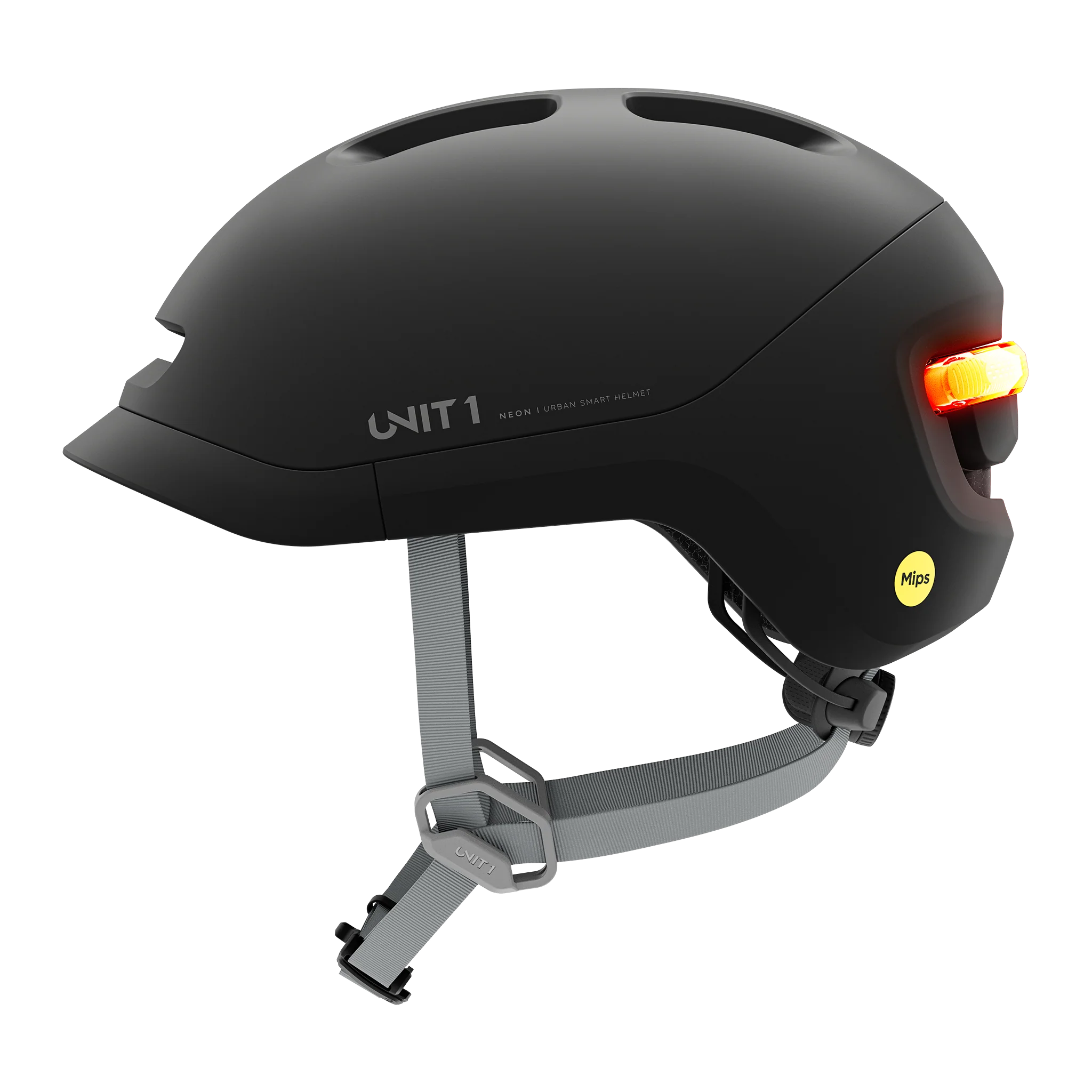 Unit1 Neon MIPS - Image 5