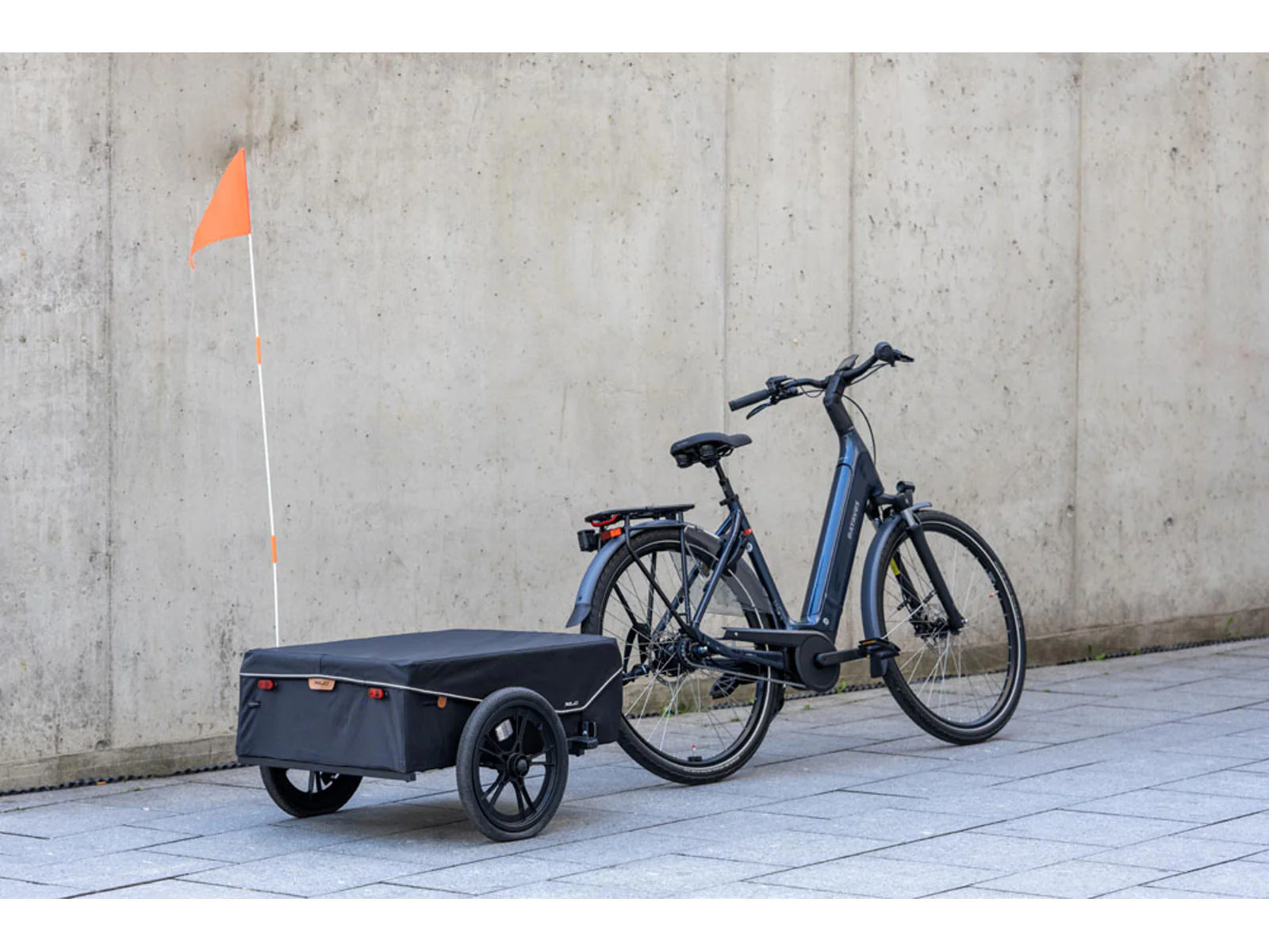 XLC Cargo trailer - 2025 - Image 3